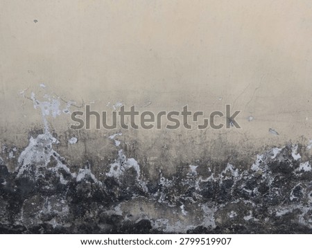 A weathered wall with a beige surface, displaying significant dirt and grime accumulation towards the lower section. The wall shows signs of wear, with peeling paint and blackened patches indicative of moisture damage or mold growth. The texture varies from smooth at the top to rough and uneven at the bottom, creating an aged and distressed appearance. The overall condition of the wall suggests longstanding exposure to environmental elements.