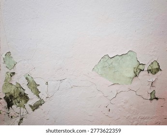 Weathered Wall: A close-up view of a deteriorating wall, where the paint peels and crumbles, revealing the textures beneath, evoking the passage of time and the effects of nature's relentless touch.