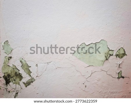 Weathered Wall: A close-up view of a deteriorating wall, where the paint peels and crumbles, revealing the textures beneath, evoking the passage of time and the effects of nature's relentless touch.