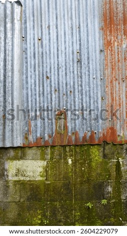 Weathered Wall with Moss and Rusty Corrugated Metal – Aged Industrial Texture