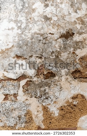 Weathered Wall Texture Aged Closeup. Rough Surface Frontview Neutral