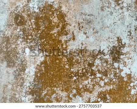 Weathered wall texture with spreading brown moss and patchy white mineral deposits.