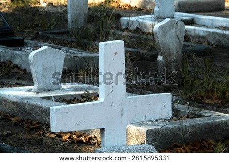 A weathered white cross marks a grave in an overgrown cemetery
