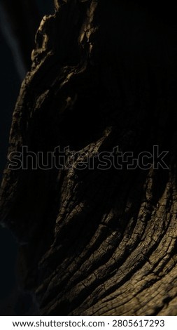 Weathered wood form with dramatic light and dark cinematic background