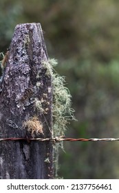 Weathered Wood Stake With Moss In The Country Around Guatape, Colombia.