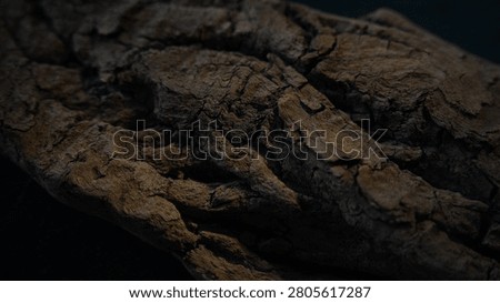 Weathered wood surface with soft light and dark natural background