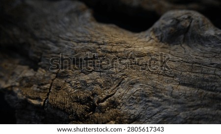 Weathered wood surface with soft light and dark cinematic background