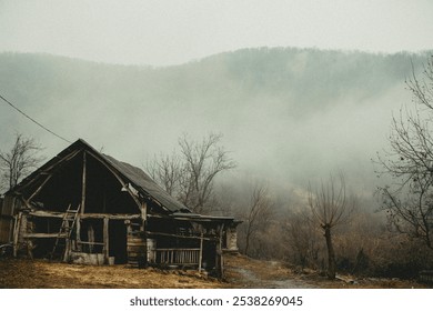 A weathered wooden barn with a tin roof sits in a misty mountain landscape. Barren land, leafless trees, and a dirt path add to the somber, eerie mood, highlighting the isolation. - Powered by Shutterstock