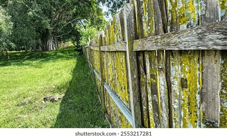 A weathered wooden fence covered with yellow-green lichen stands against a vibrant grassy backdrop with large trees, showcasing natural textures and earthy charm. - Powered by Shutterstock