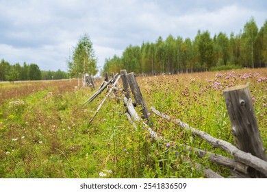 A weathered wooden fence stretches along a lush meadow filled with wildflowers, framed by trees under an overcast sky, creating a peaceful natural setting. - Powered by Shutterstock