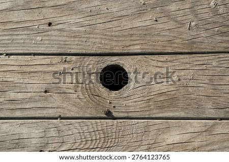 Weathered wooden plank texture with a round metal bolt or knot, close-up abstract detail of aged wood on beach or pier in Versilia
