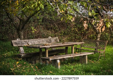 Weathered wooden table and benches in an overgrown garden in autumn