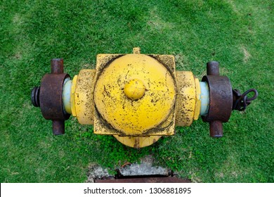 A Weathered Yellow Fire Hydrant Installed On A Street Grass Divider - Close-up Top View.