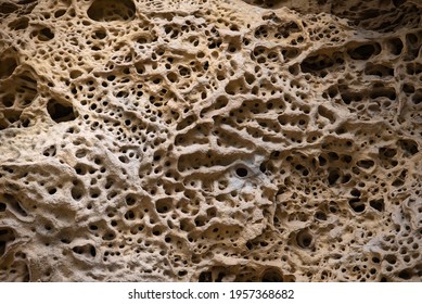 171 Honeycomb limestone rock Images, Stock Photos & Vectors | Shutterstock