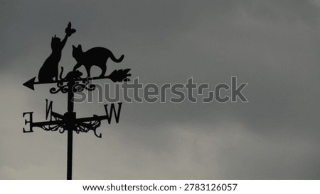 A weathervane in a storm
