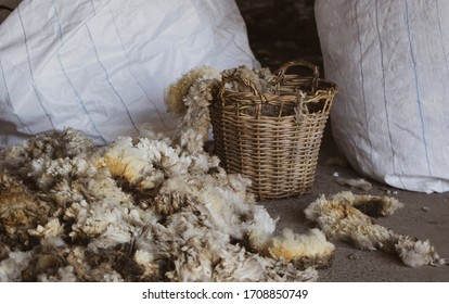 Weaved Basket Full Of Sheep Wool