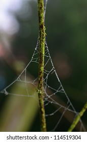 web