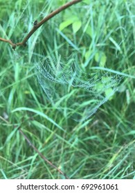 web