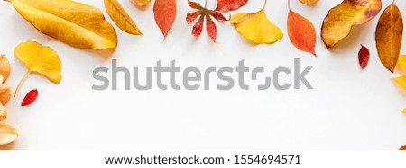 Similar – Autumn leaves with watering can and garden tools