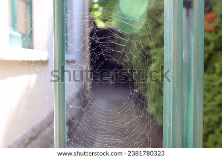 A web of cobwebs in the doorway