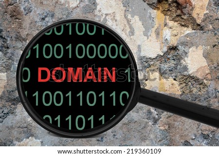 Web domain