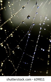 web and rain
