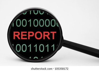 Web report