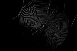 A Web Woven By A Spider On A Black Background.