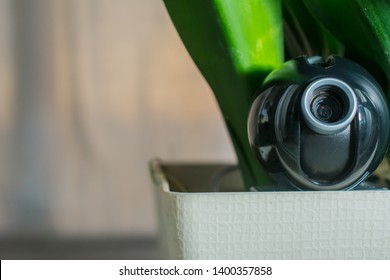 Webcam Hidden In A Flower Pot For Covert Surveillance Of The House. Surveillance And Security Systems. Smart House. Espionage. Hidden Camera For Watching