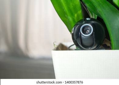 Webcam hidden in a flower pot for covert surveillance of the house. Surveillance and security systems. Smart House. Espionage. Hidden camera for watching