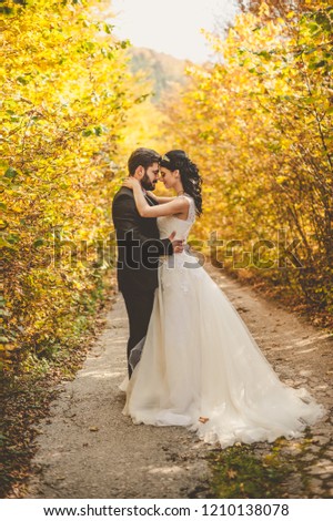 Wedding autumn. Bride and groom walking in the yellow autumnal forest