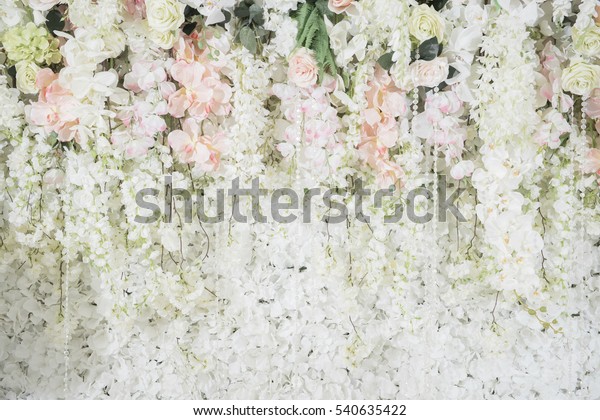 Wedding Backdrop Flower Wedding Decoration Stock Photo 540635422 ...