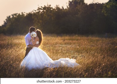 wedding. beautiful couple kissing in the sun