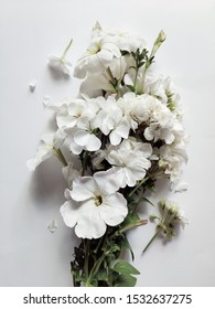 Wedding Bouquet of geranium on a white background