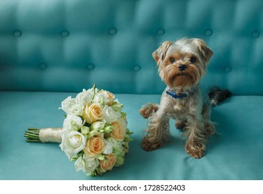 Wedding Bouquet With White Roses And A Small Dog