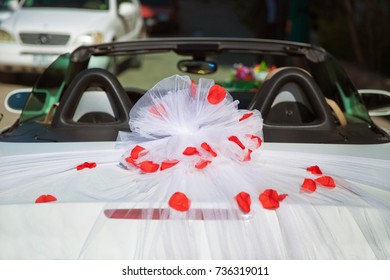 Just Married Car Cans Stock Photos Images Photography