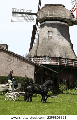 Wedding carriage in front of wind mill