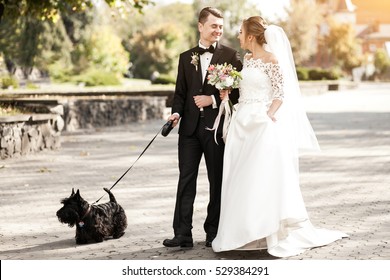 wedding couple dog