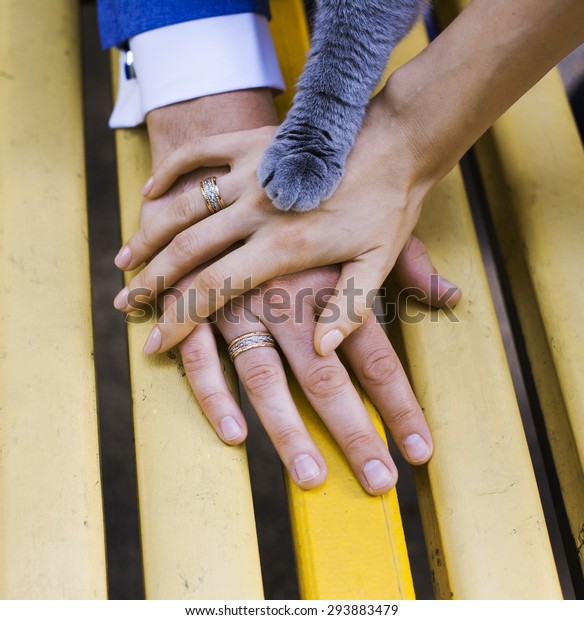 Wedding Couple  Hands Cat  Paw  On Stock Photo Edit Now 