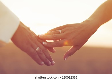 Wedding couple holding hands on sunset background