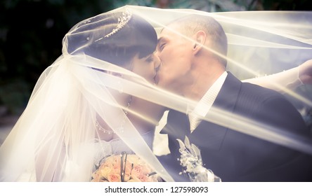 Wedding Couple Kissing Covered Veil