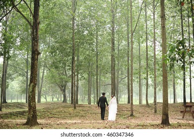 wedding couple and tree