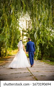 Wedding Couple Walking Away On Alley