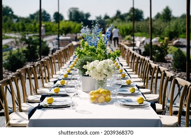 Wedding decor. Beautiful event venue. Creative decoration in Italian style with eco lemon. Birthday outdoor dinner in rustic stile