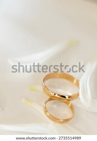 wedding decor elements. wedding rings. flowers