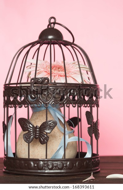 Wedding Decoration Birdcage Stock Photo Edit Now 168393611