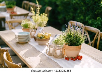 Wedding dinner table reception. Clay pot with flowering lavender, cherry branch tomatoes, burning candles in glass candlestick, a plate with lemons and an olive branch. A rag runner on a wooden table