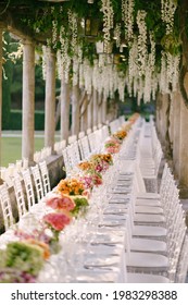 Wedding Dinner Table Reception. A Very Long Table For Guests With A White Tablecloth, Floral Arrangements, Glass Plastic Transparent Chairs Chiavari. Under The Old Columns With Vines Of Wisteria.