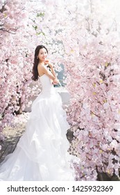 wedding dress and wedding bride in Korea studio.