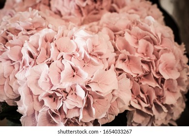 wedding flowers blossoms delicate tones  - Shutterstock ID 1654033267